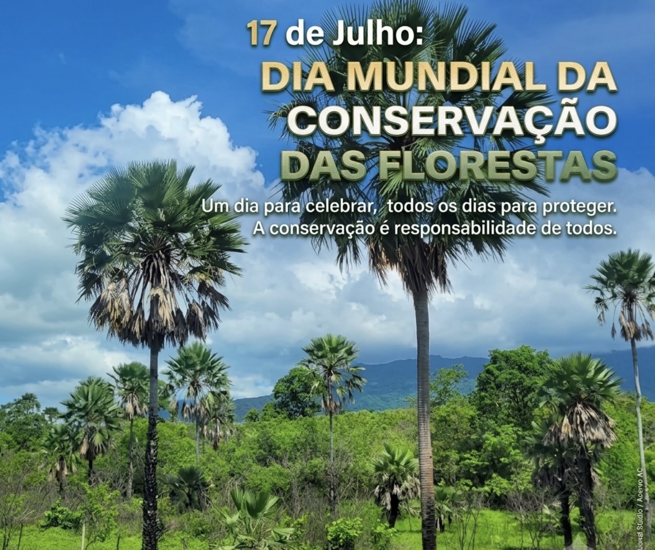 Dia da Proteção às Florestas: data é marcada por debate após Senado aprovar mudança em área protegida da Amazônia
