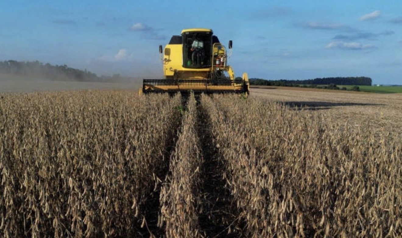 Chegada do El Niño preocupa agronegócio brasileiro no segundo semestre
