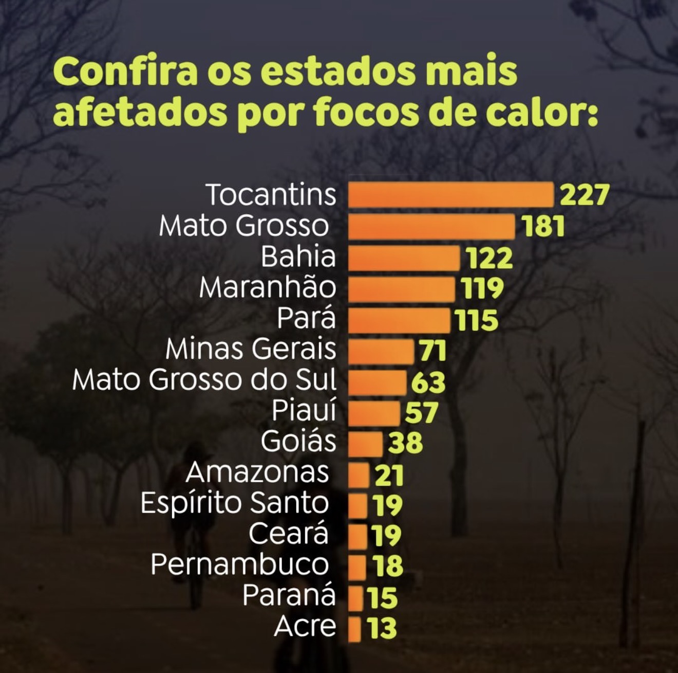 El Niño aumenta risco de incêndios e acende alerta em 15 estados brasileiros