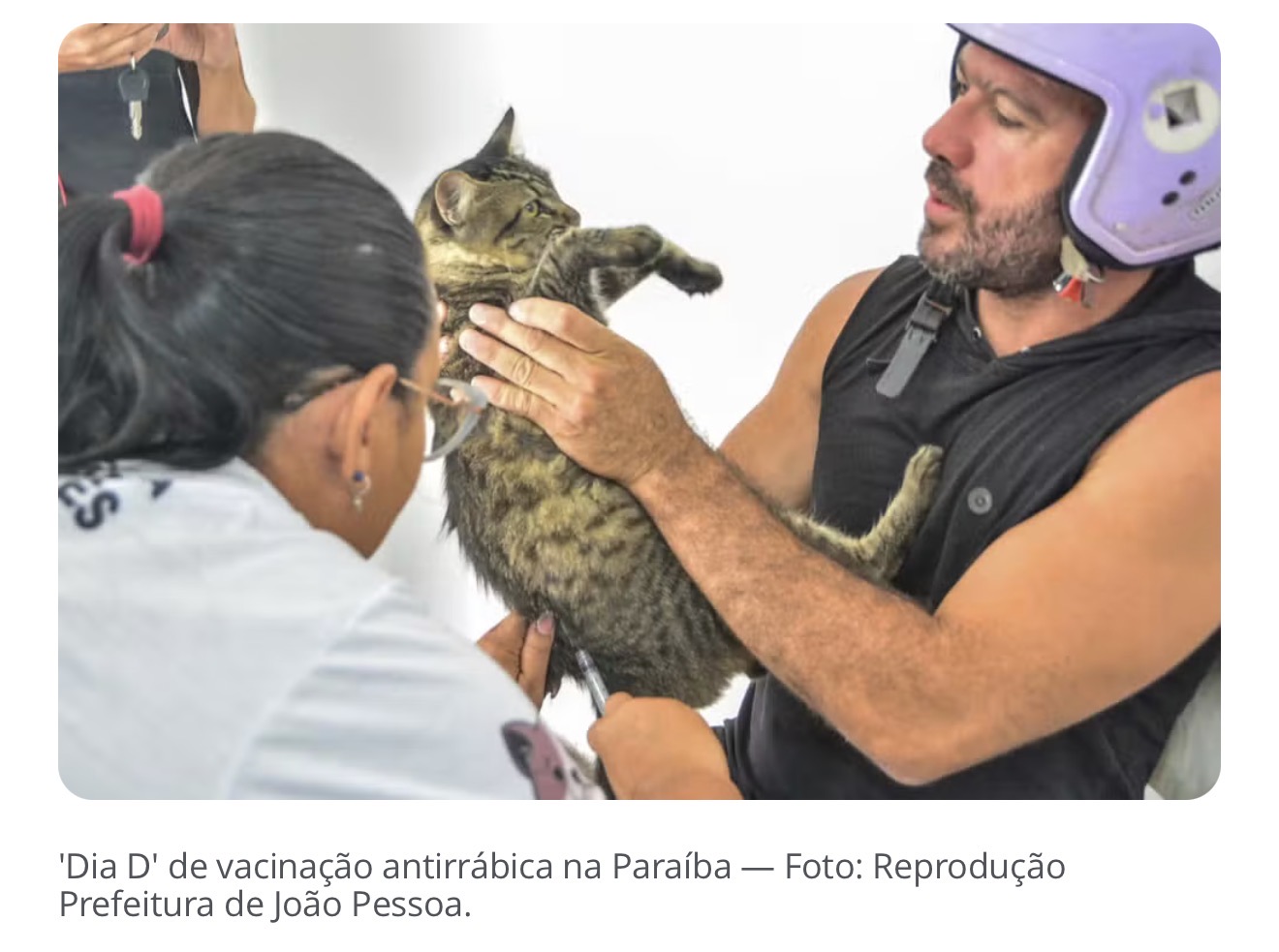 Paraíba realiza neste sábado o “Dia D” da Campanha de Vacinação Antirrábica Animal