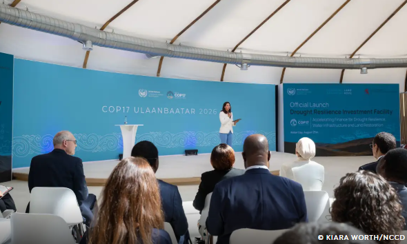 COP17 termina sem acordo global para combater as secas