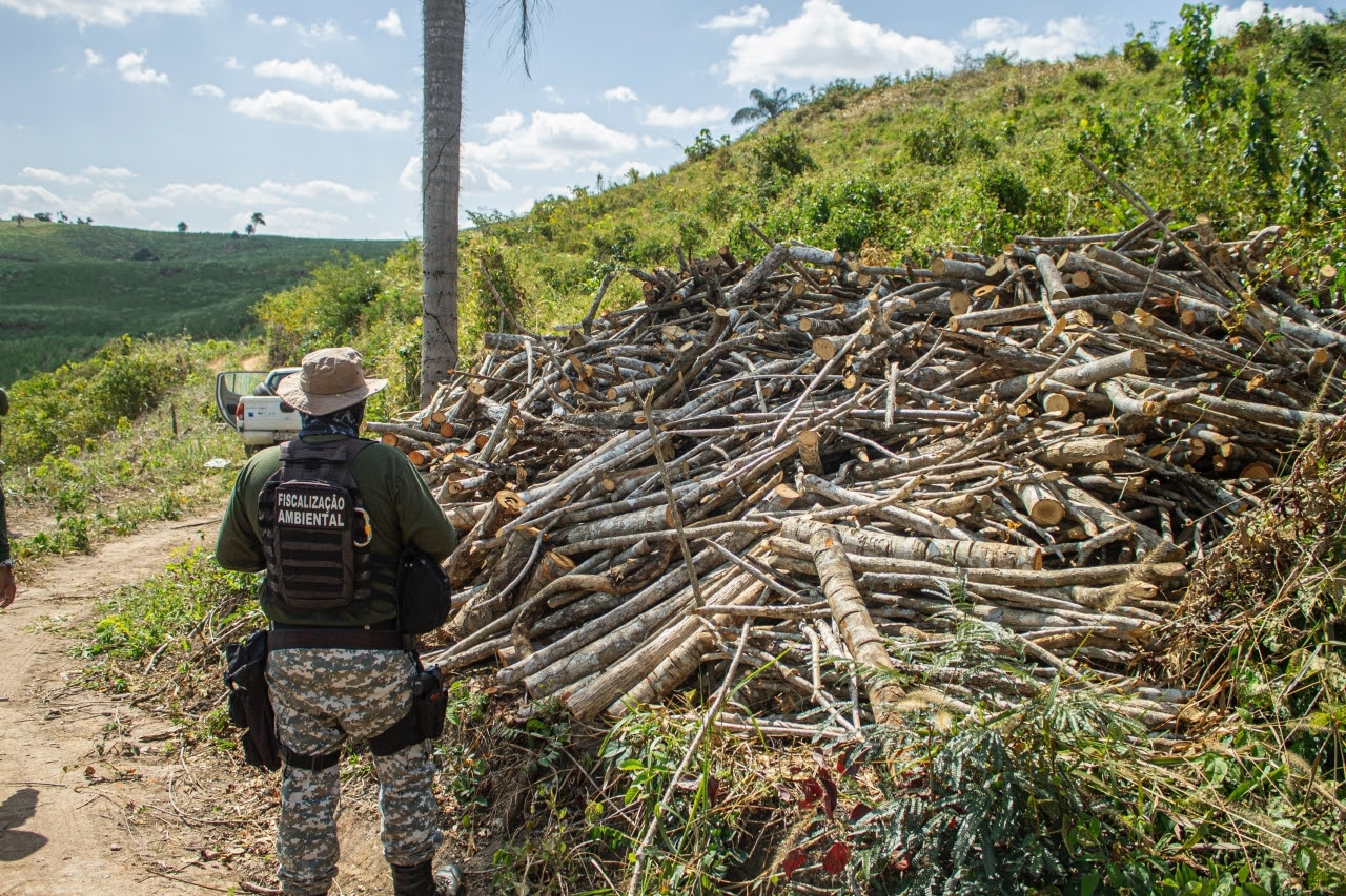 Operação identifica mais de 230 hectares de desmatamento ilegal na Paraíba