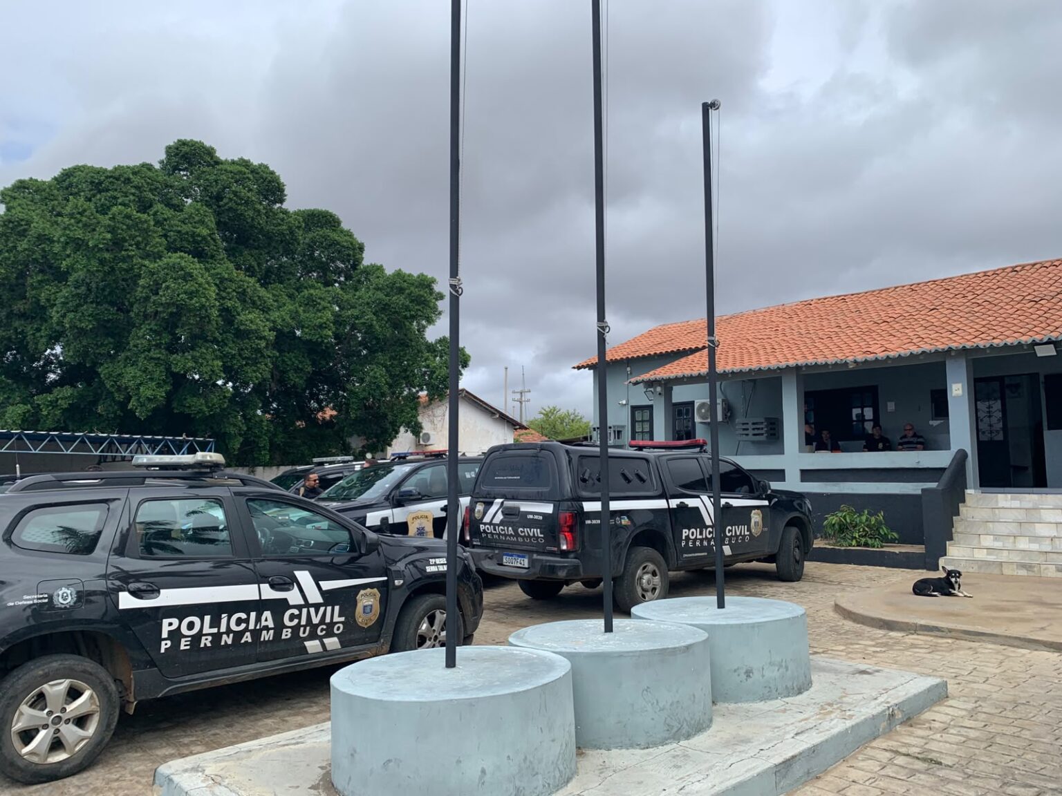 Polícia prende dois suspeitos de duplo homicídio de irmãos em Serra Talhada