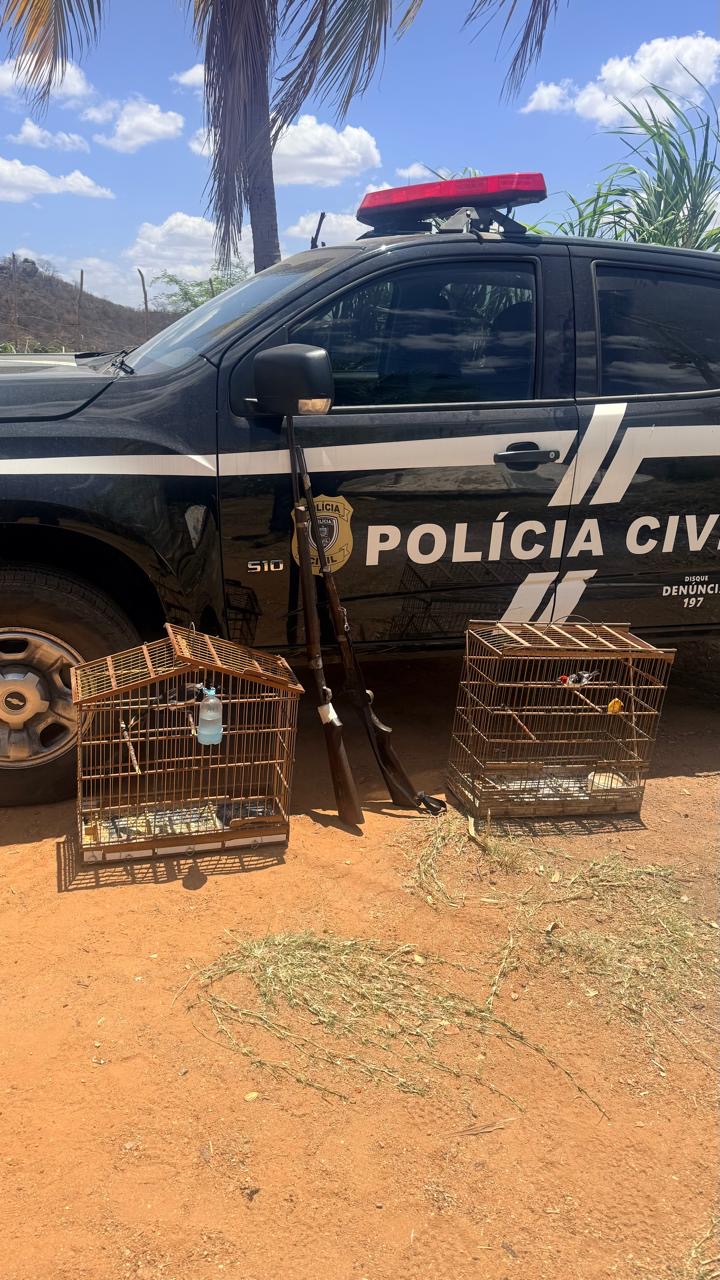 POLÍCIA CIVIL DEFLAGRA OPERAÇÃO CONTRA CAÇA DE ANIMAIS SILVESTRES E APREENDE AVES, ESPINGARDAS E MATERIAIS DE CAÇA EM TAVARES